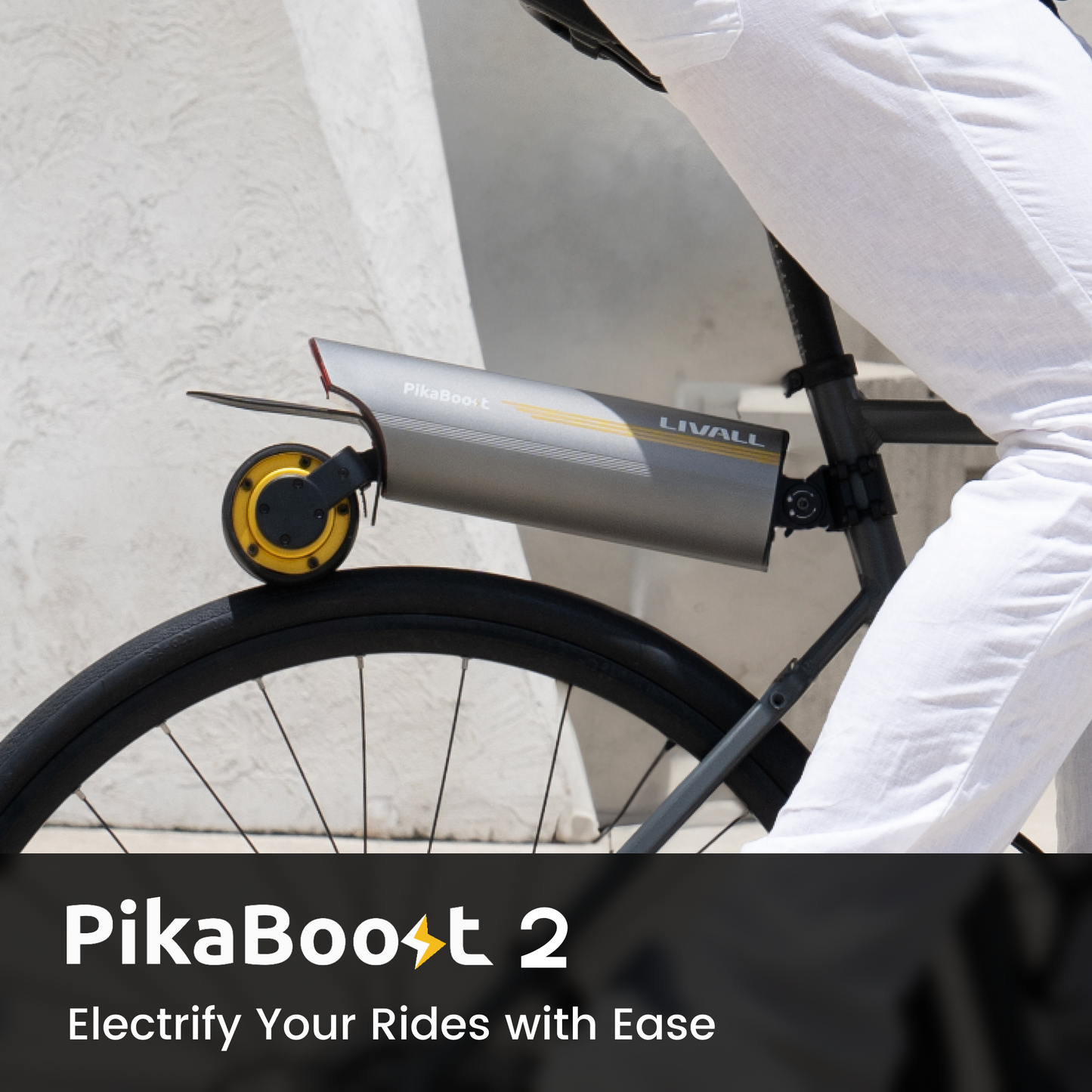 E-bike Conversion Kit