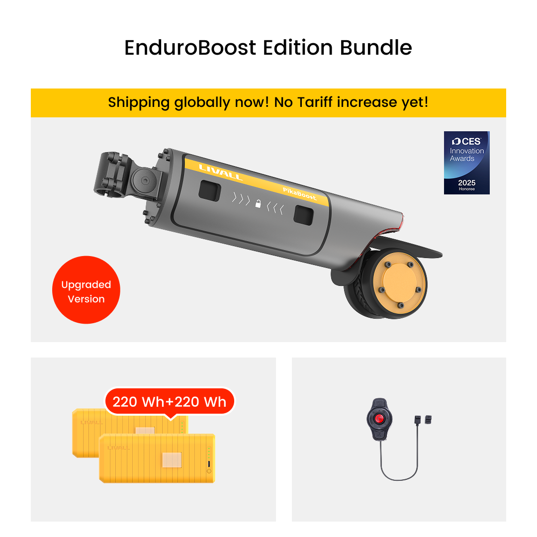 E-bike Conversion Kit