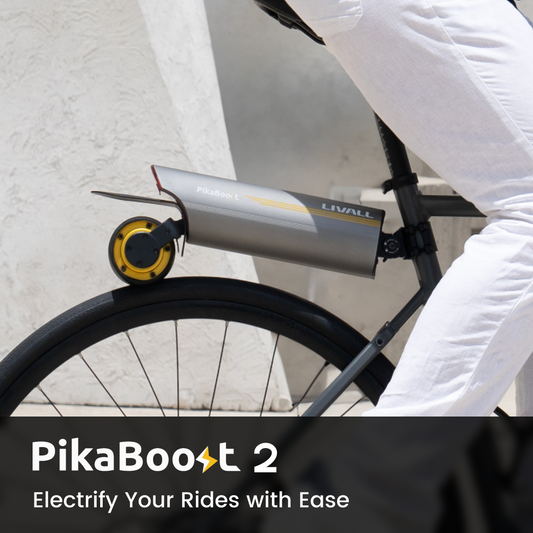 E-bike Conversion Kit